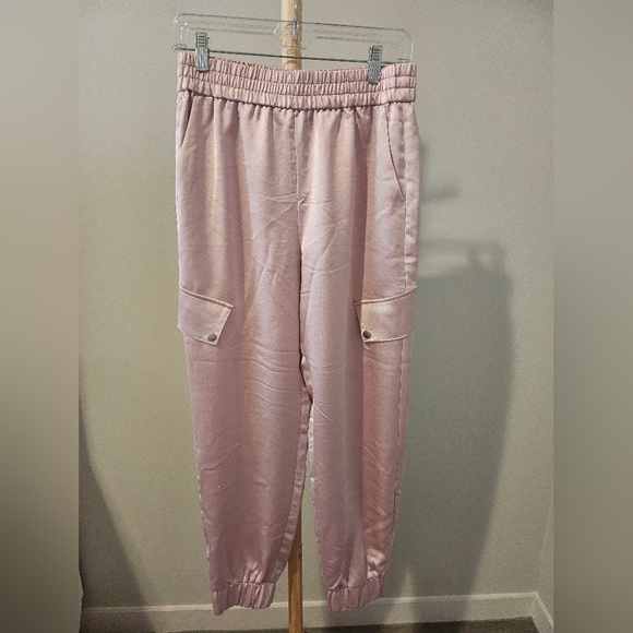 Express Pink Jogger Pants (NWOT) - Picture 5 of 5